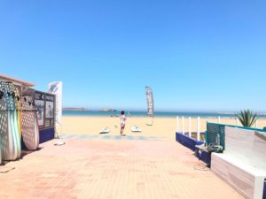 Essaouira Argan Trees Goats Best Day Tours Trips from Marrakech