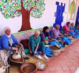 Essaouira Argan Trees Goats Best Day Tours Trips from Marrakech