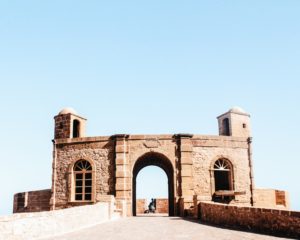 Essaouira Argan Trees Goats Best Day Tours Trips from Marrakech