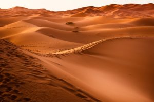 Fez To Marrakech 3 Days Desert Tours