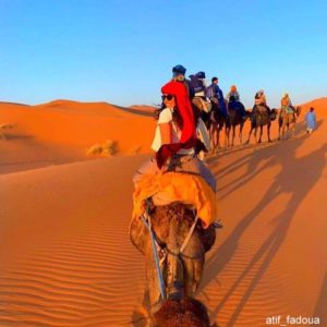 what you need to know before visiting the sahara desert in Morocco