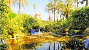 Majorelle Graden 