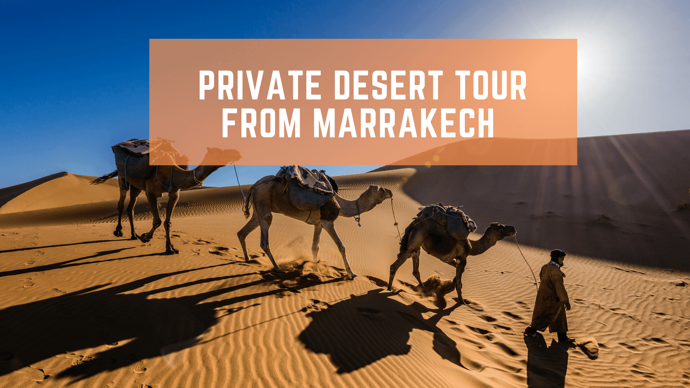 Private Desert Tour From Marrakech