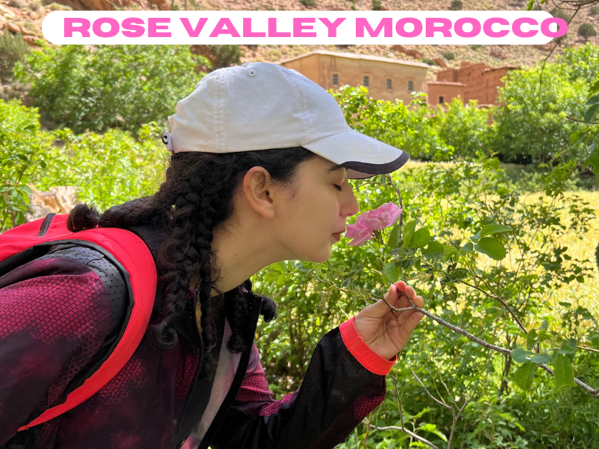 Rose Valley Morocco Exploration