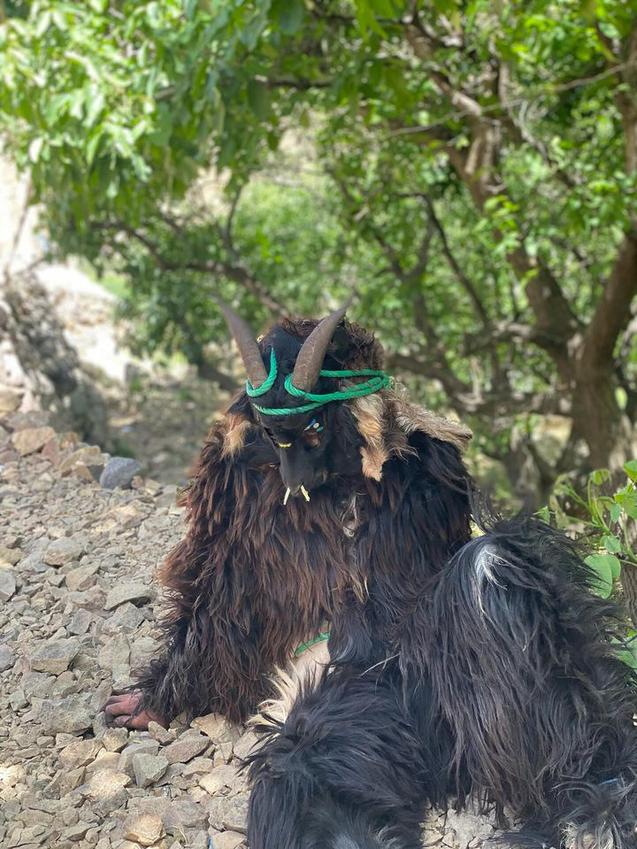 Boujloud Festival costumes