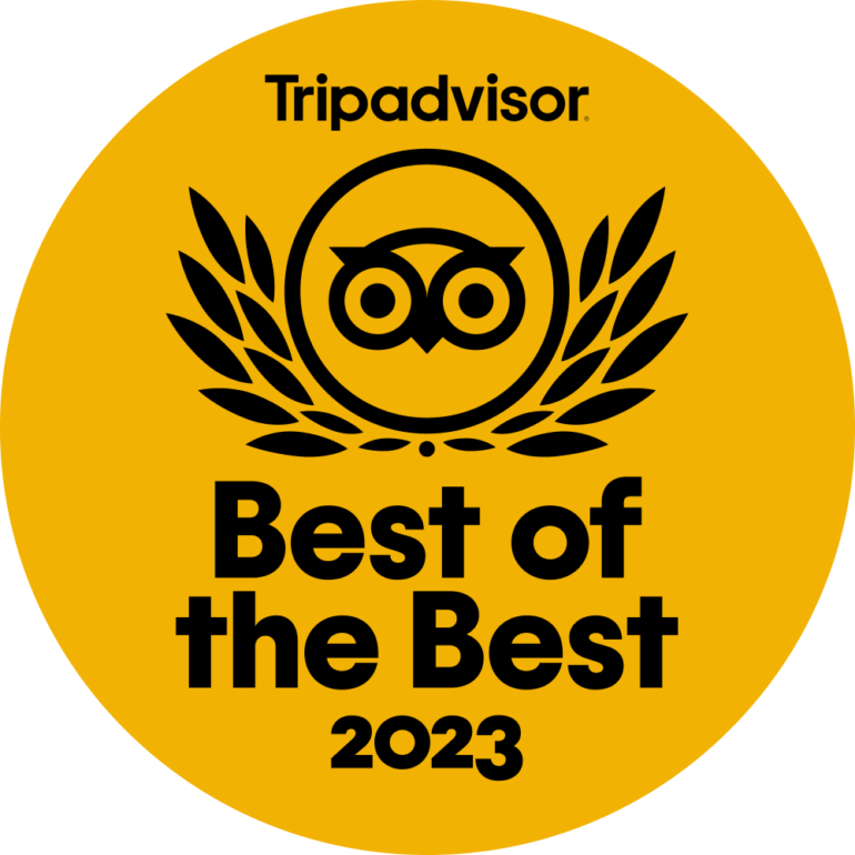 Best Morocco Tour Companies