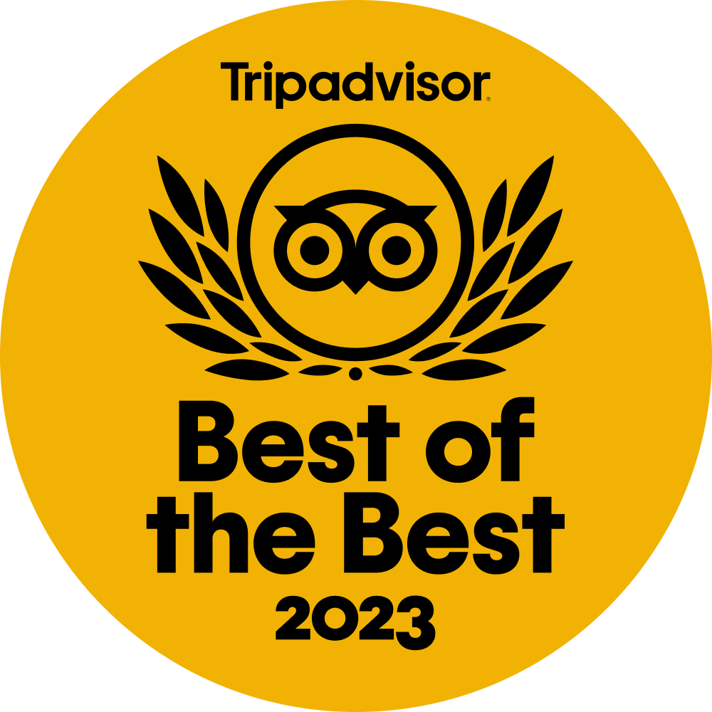 Best Morocco Tour Companies