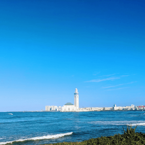 Best thongs to do in Casablanca 